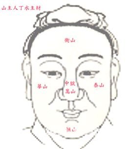 看面相算命：第二課 總論_看相大全