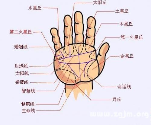 手相圖解大全：9、神秘掌紋揭秘TA的情感與性格_看相大全