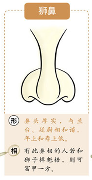 獅子鼻能發財