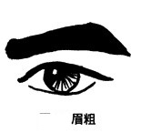 眉毛粗