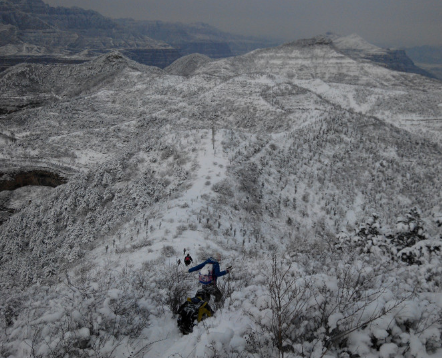 夢見滿山都是雪