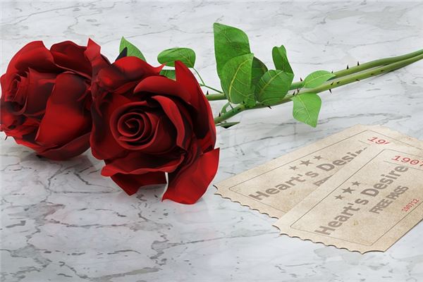 夢見紅玫瑰花_周公解夢