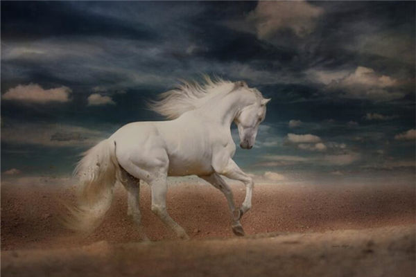 90年屬馬女人性格特點_十二生肖