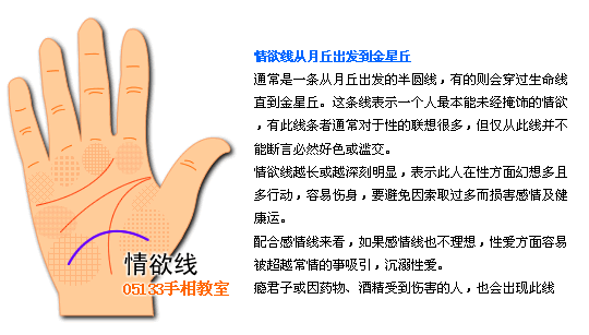 各類掌紋支線圖解_看相大全