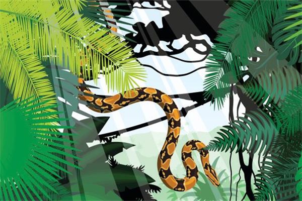 男人夢見大蟒蛇_周公解夢