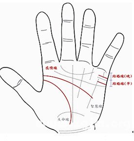 什麼樣的手相感情被動消極？