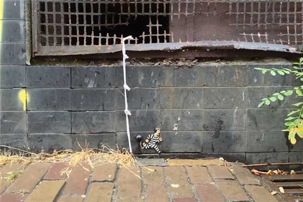 夢見逃獄成功_周公解夢