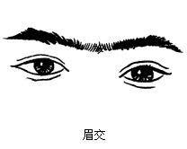 眉交