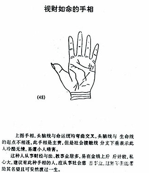 視財如命的手相圖解
