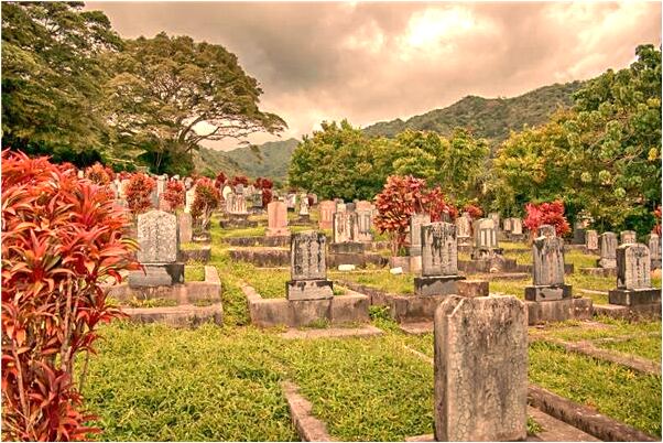 夢到了夢和死人住一個層會是什麼預兆_周公解夢官網