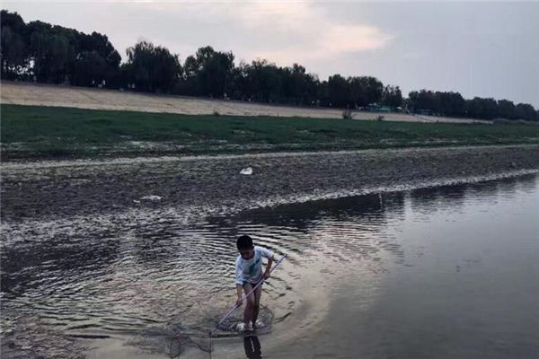 男夢見撈魚_周公解夢