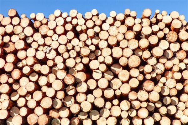 女人夢見好多柴禾_周公解夢