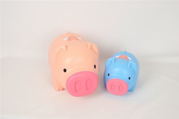 金豬是哪一年_十二生肖