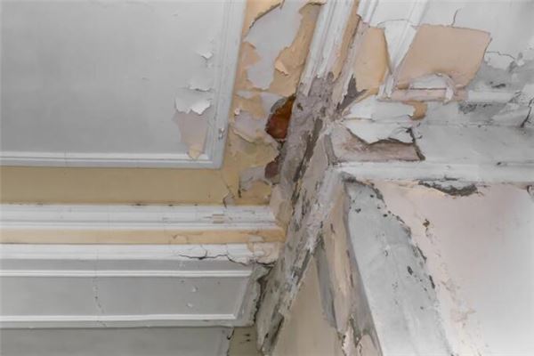 夢見室內漏水_周公解夢