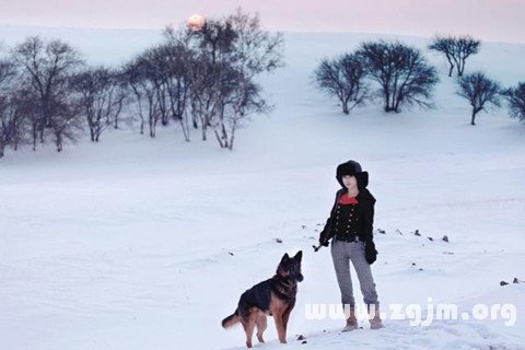 夢見在積雪的森林中漫步