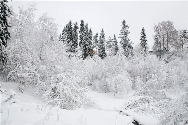 夢見雪什麼意思_周公解夢