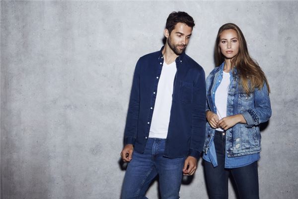 生肖馬酉時生感情中被動嗎_十二生肖