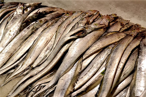 夢到帶魚是什麼預兆?_周公解夢