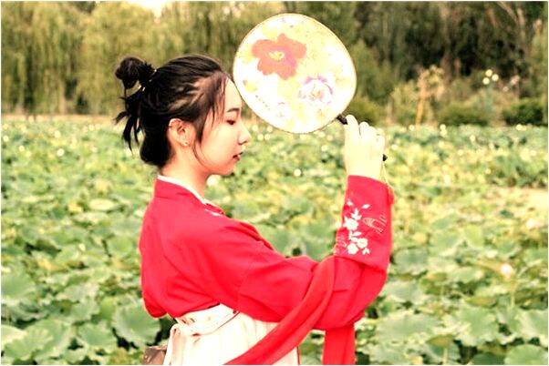 夢見切割青蛙會怎么樣_周公解夢官網