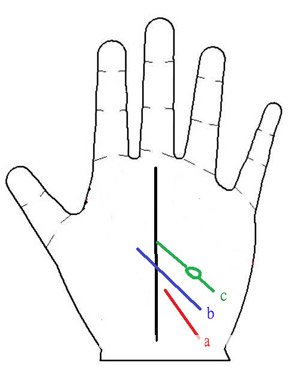 手相 寵愛線圖解