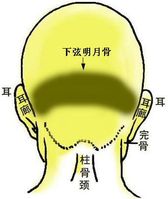 下弦明月骨