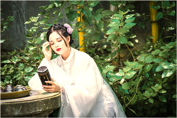 夢見家旁龍眼樹被砍倒是什麼兆頭_周公解夢官網