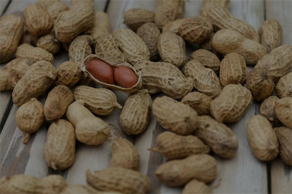 夢到了花生瓜子預示著什麼_周公解夢