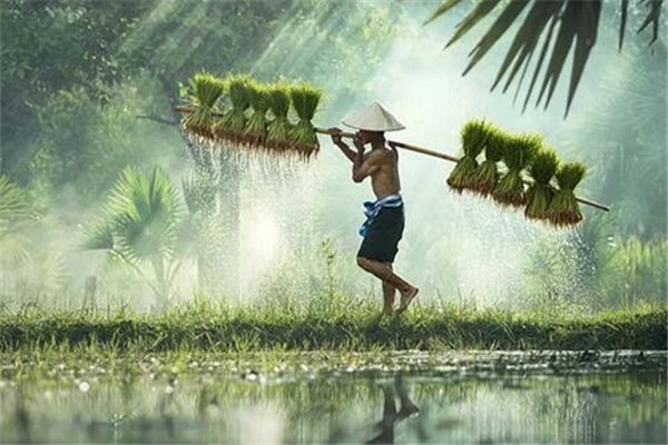 夢見種田是什麼意思_周公解夢