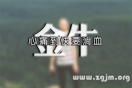 哪些話會讓金牛男的心碎成渣_十二星座