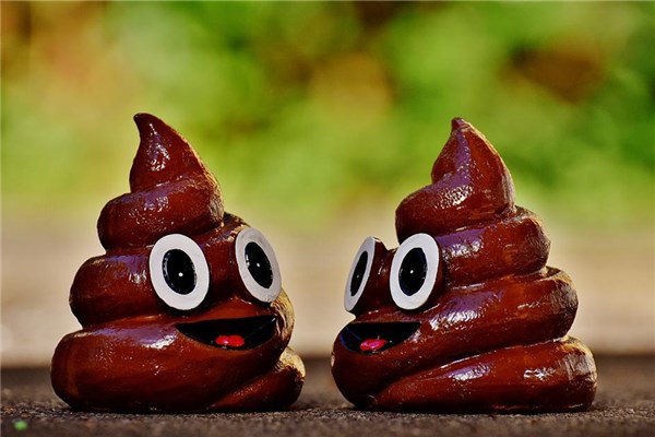 夢見一地屎是什麼兆頭_周公解夢