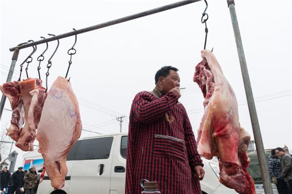 夢見殺好的大肥豬_周公解夢