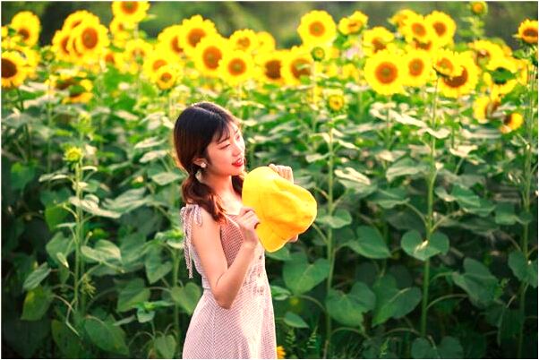 夢見別人生三個女兒預示什麼_周公解夢官網