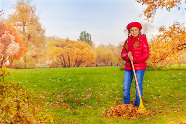 夢見清理垃圾雜物_周公解夢