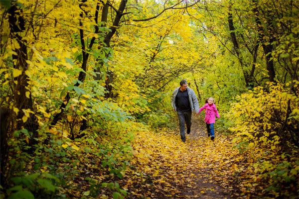 夢見小外甥女_周公解夢