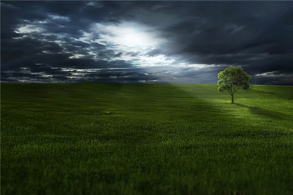 夢到拉草會是什麼預兆_周公解夢