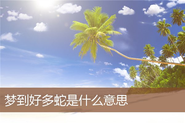 夢到好多蛇是什麼意思_周公解夢
