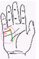 26個掌紋看法