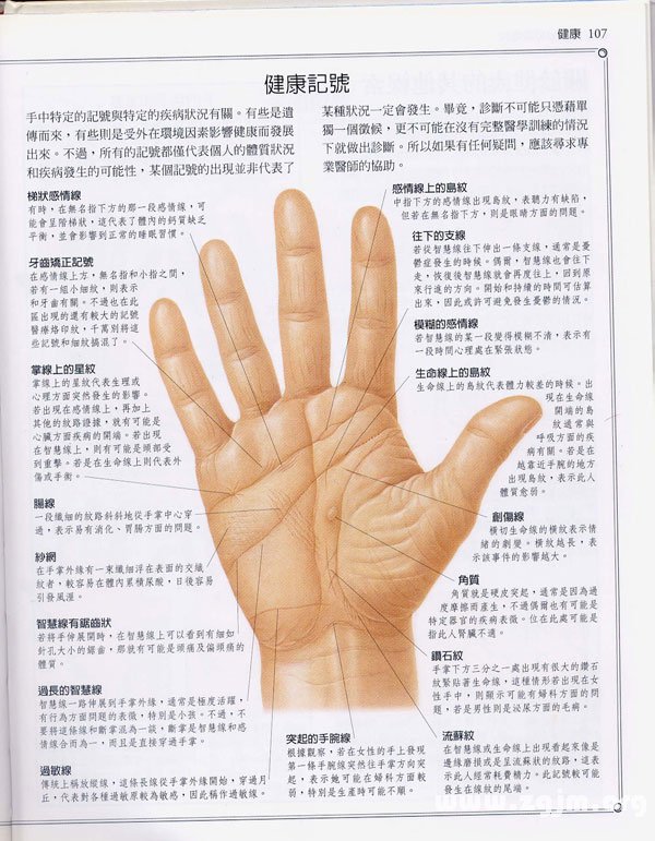 《手相學習百科》：手相看健康