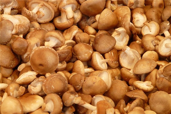 夢到吃香菇意味著什麼_周公解夢