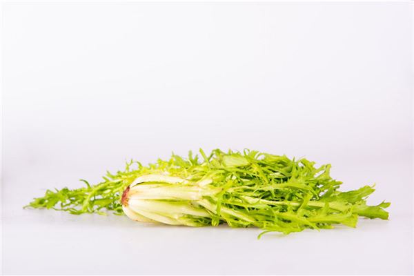 夢見苦菜是什麼意思_周公解夢