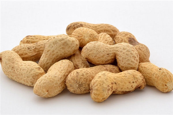 夢見種花生是什麼意思_周公解夢