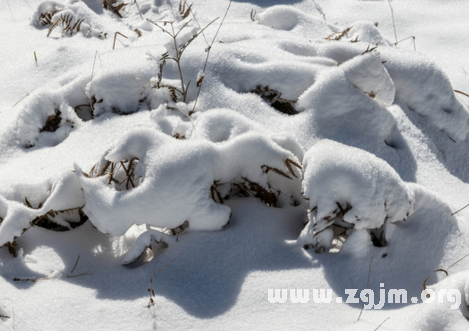 夢見下雪或積雪