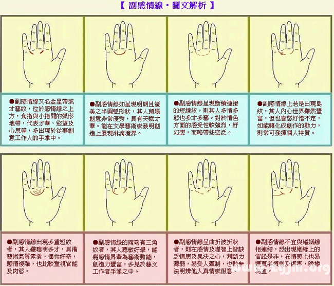 成濤掌相副感情線圖解