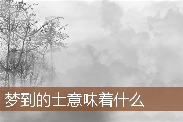 夢到的士意味著什麼_周公解夢