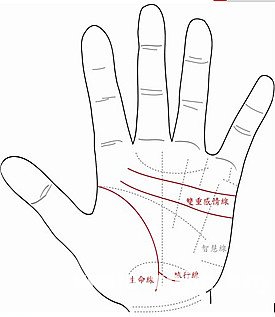 什麼樣的手相婚姻易有波折？
