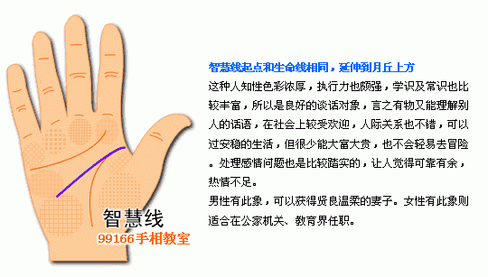 手相圖解大全：5、智慧線看個性_看相大全