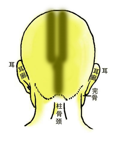 骨相大全——雙龍金鎖骨