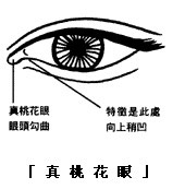 真桃花眼