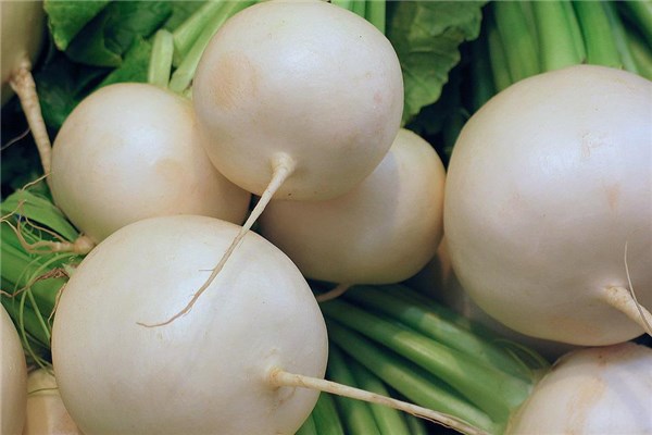 夢見大白蘿蔔是吉兆嗎?_周公解夢