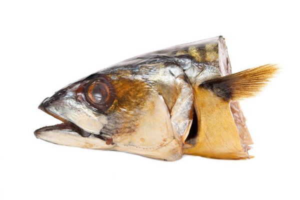 夢見魚頭_周公解夢